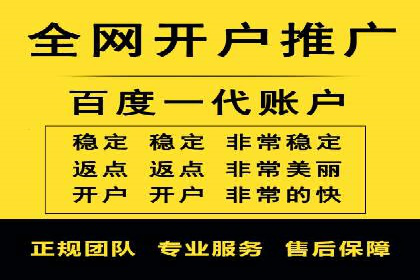百度竞价广告投放策略案例